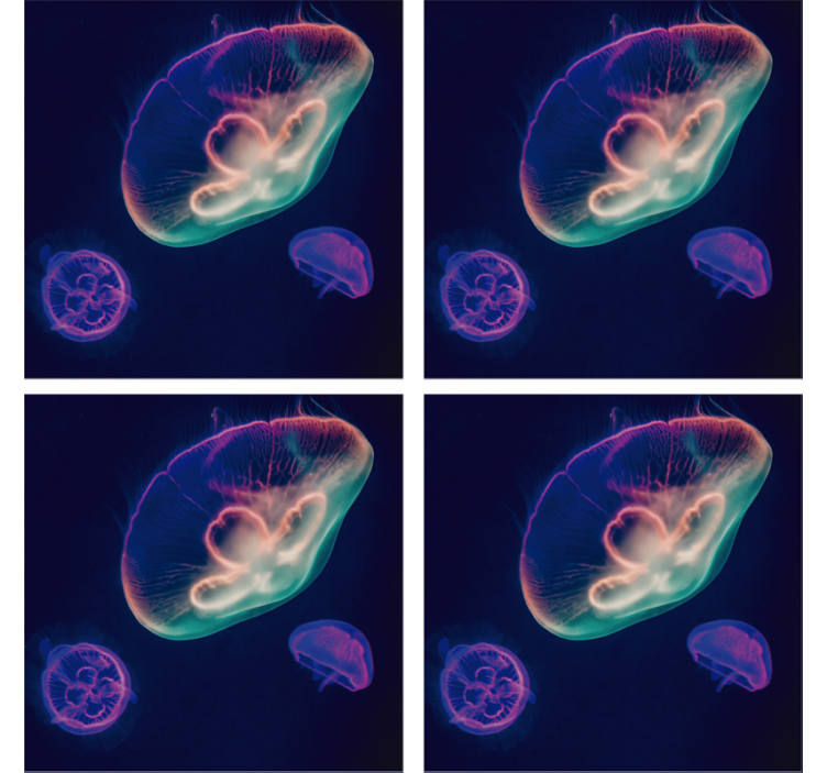 Portavasos frikis criaturas de medusas coloridas - TenVinilo