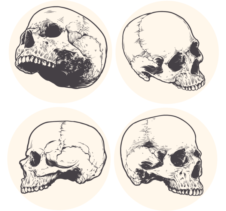 Portavasos frikis set de ilustraciones de calaveras - TenVinilo