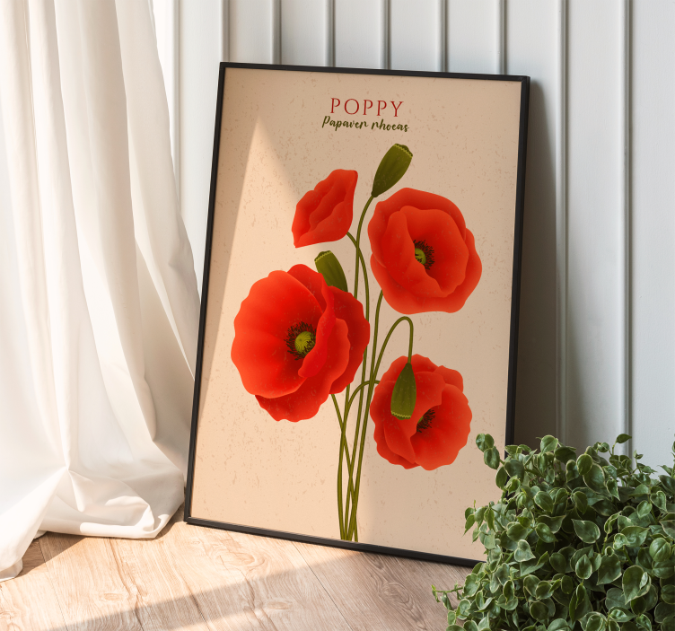 Poster flores amapolas - TenVinilo
