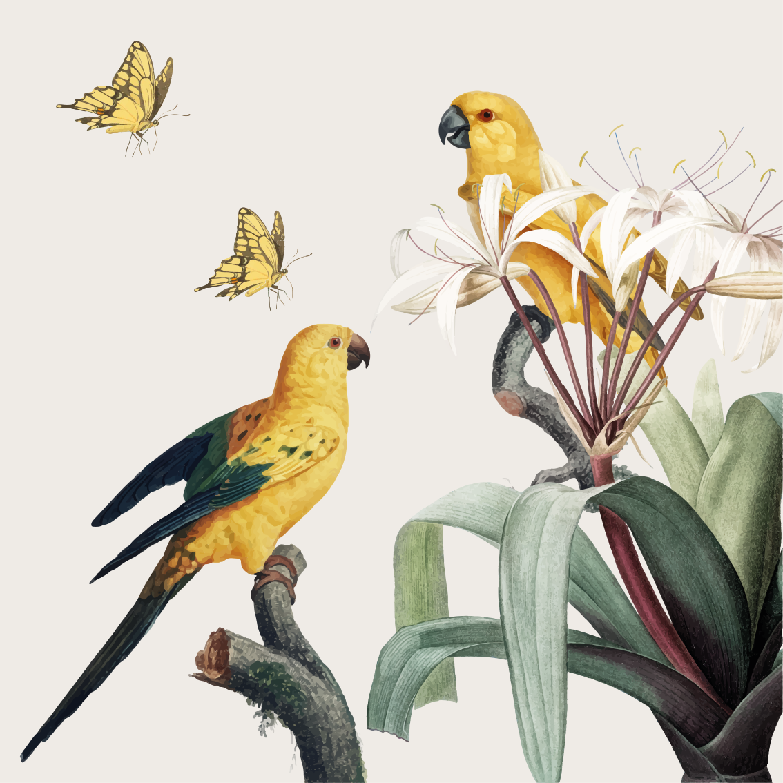 Poster salón loros con flores amarillas y mariposas - TenVinilo