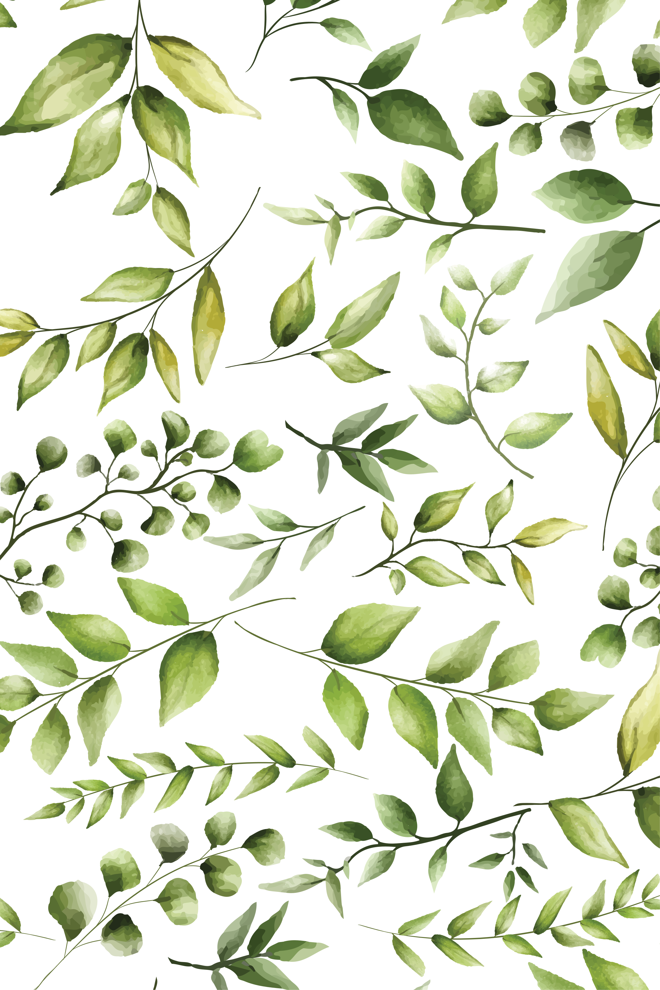 Poster plantas hojas de eucalipto en acuarela - TenVinilo