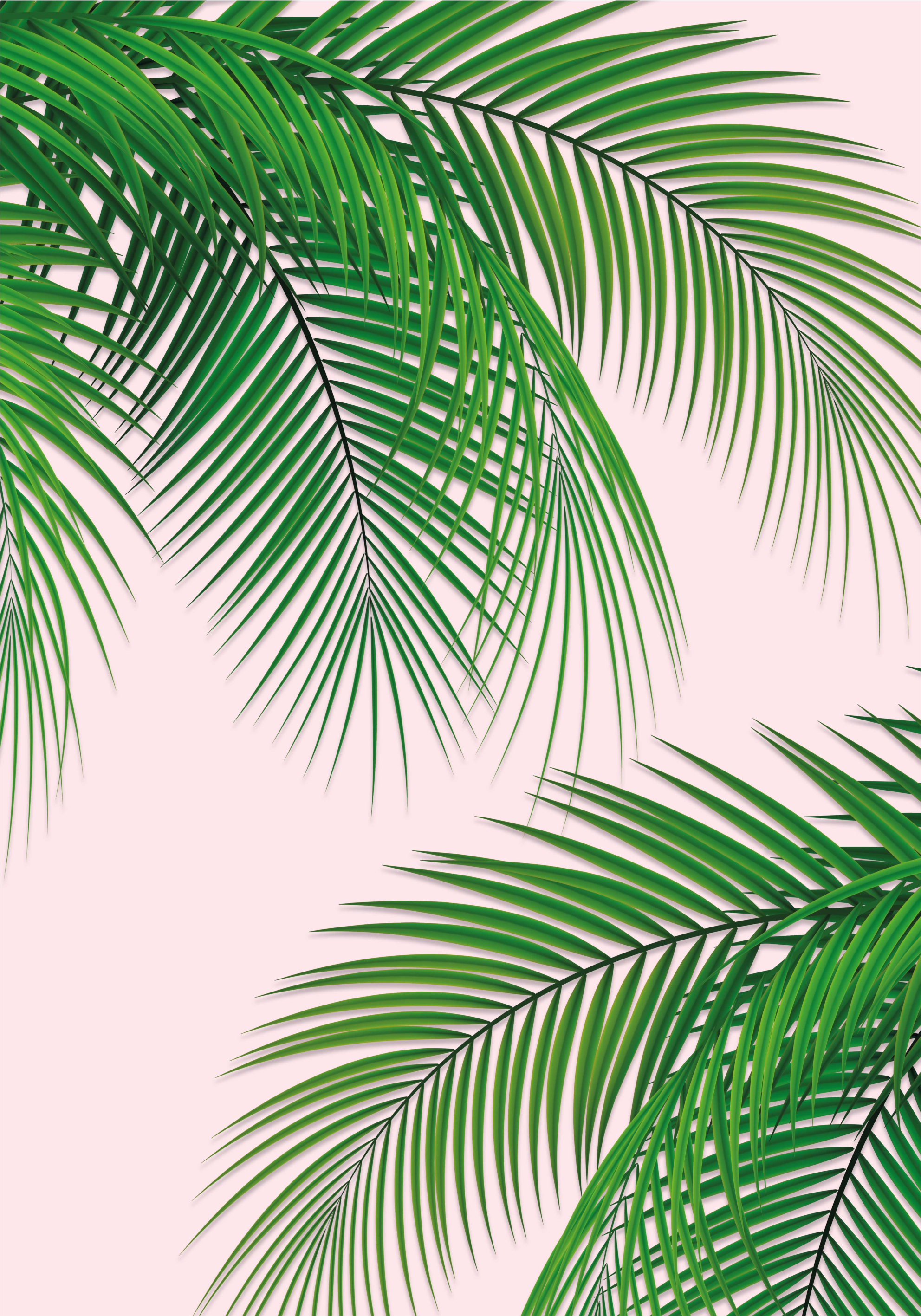 Poster árboles hoja tropical - TenVinilo