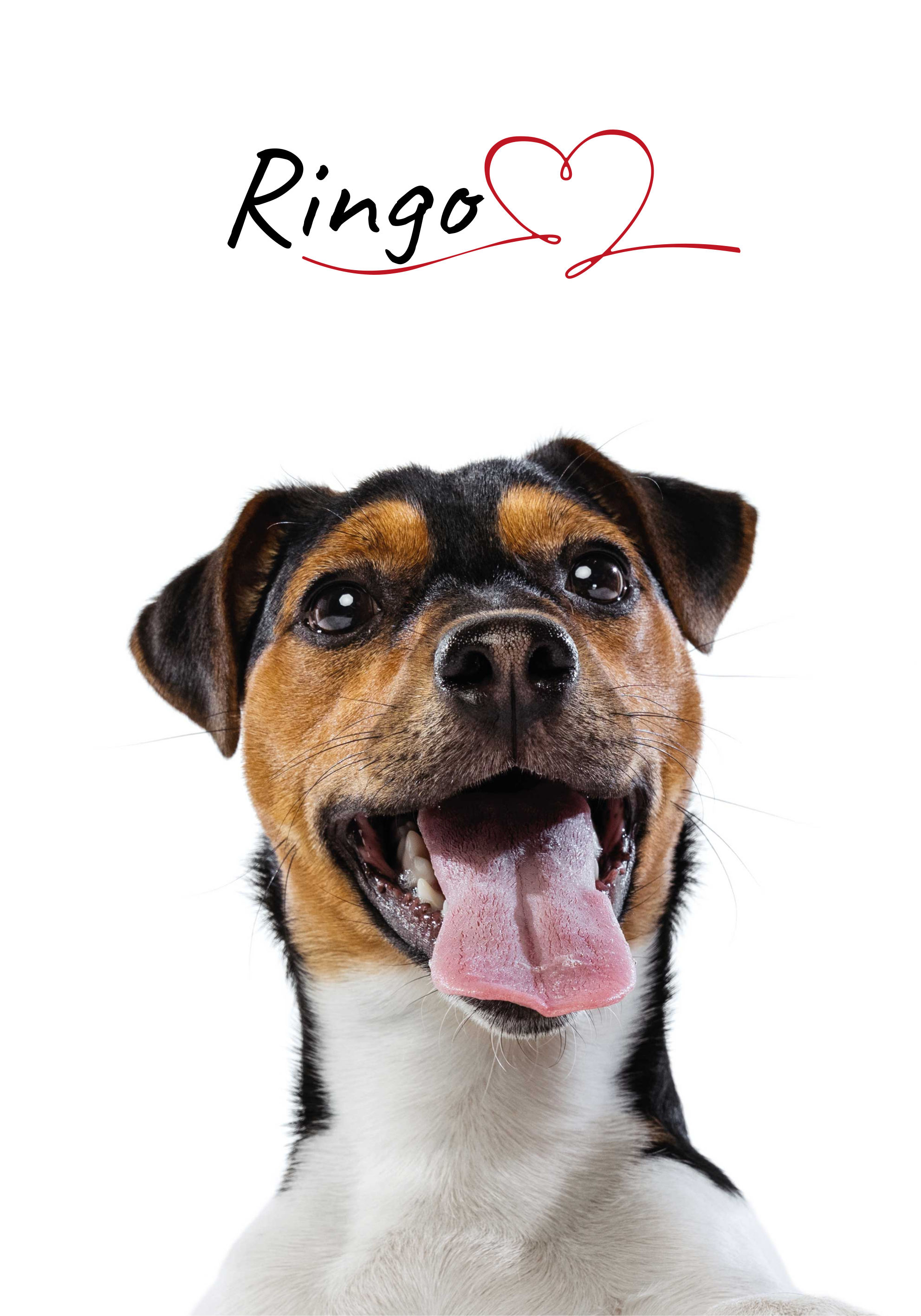 Cartel de amor de perro personalizado para la pared - TenVinilo