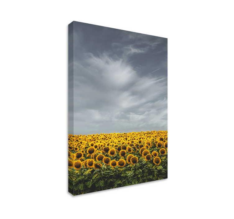 Cuadro de flores pradera de girasoles - TenVinilo