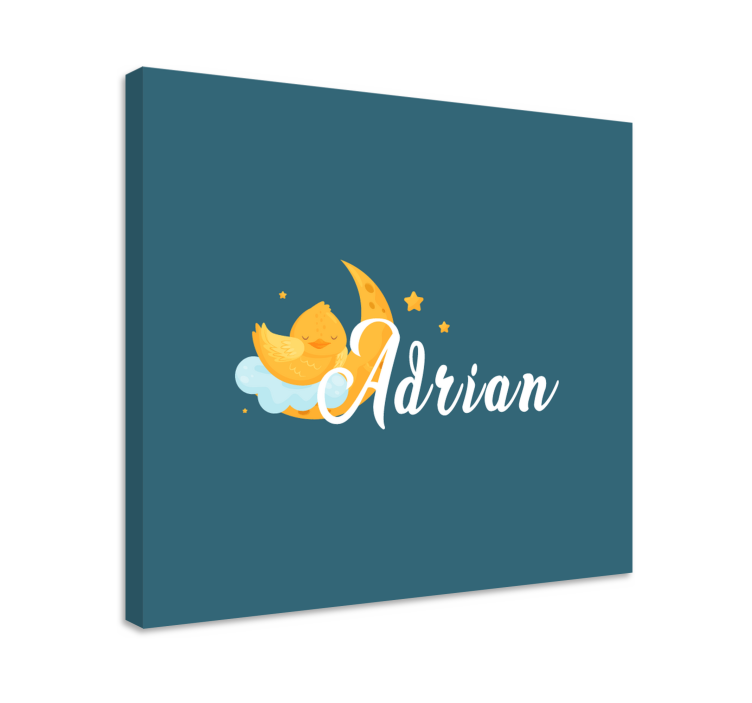 Cuadro aves Chica en la luna con estrellas - TenVinilo