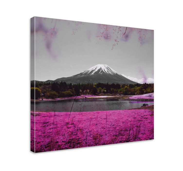 Cuadro de flores Campo de flores rosadas en japón - TenVinilo