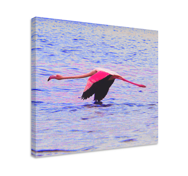 Cuadro de peces flamenco en vuelo - TenVinilo