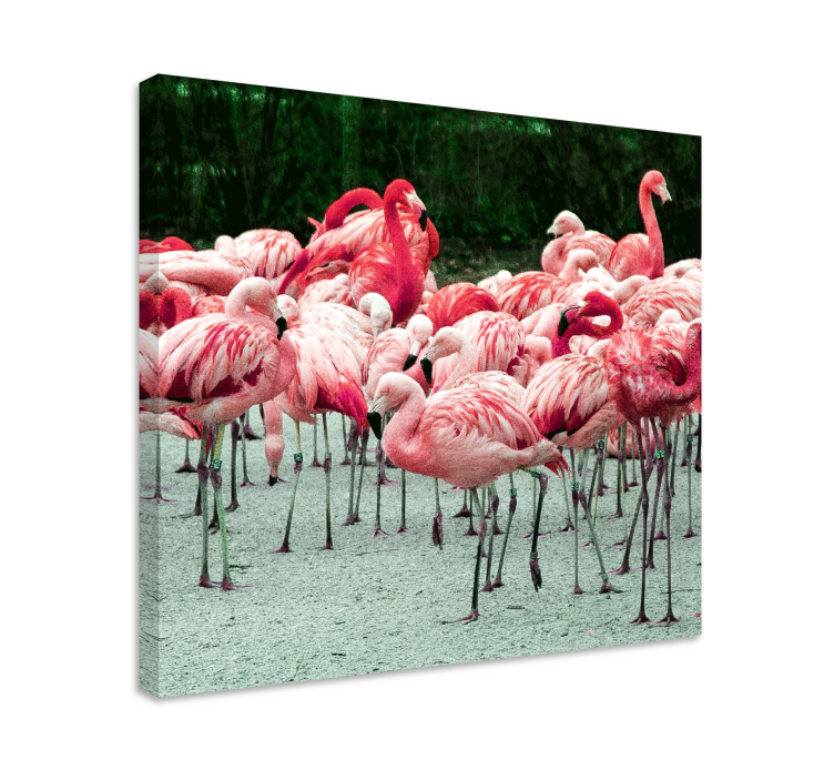 Cuadro de perro flamingo en bandada - TenVinilo