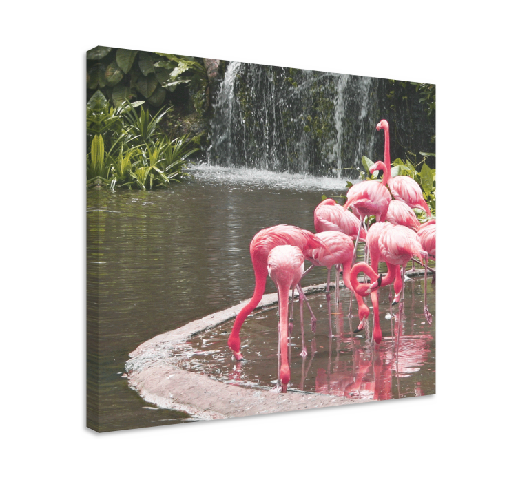 Cuadro de perro flamingo en la piscina - TenVinilo