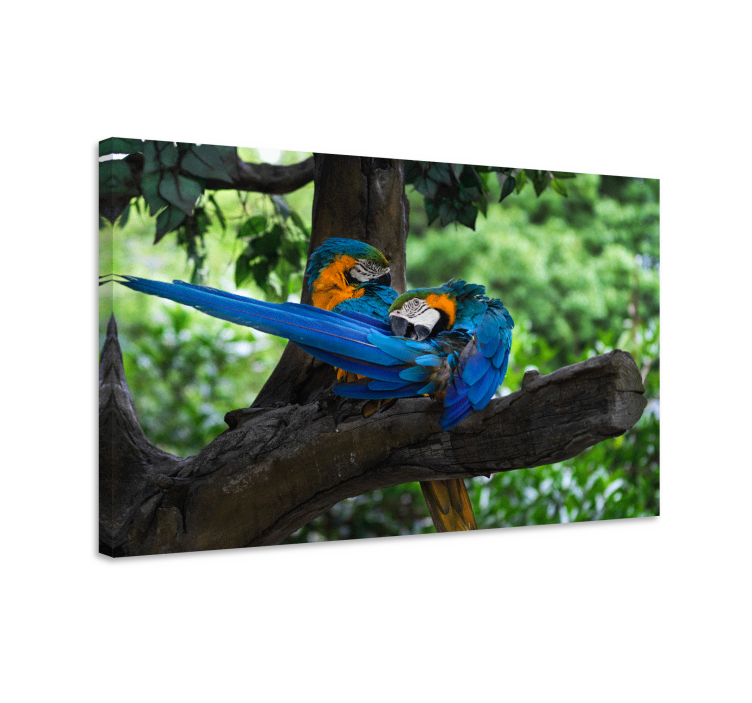 Cuadro animales Loros de colores en la selva. - TenVinilo
