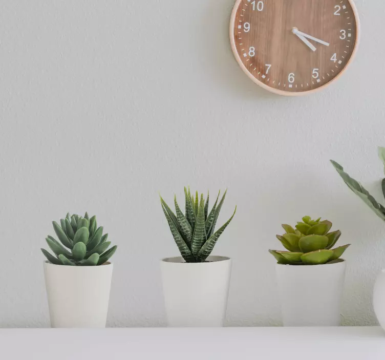 Vinilo planta para pared plantas 3D - TenVinilo