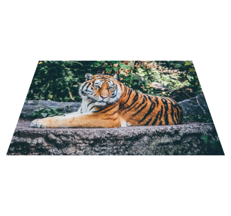 Alfombra vinílica de animales majestuoso tigre tumbado - TenVinilo