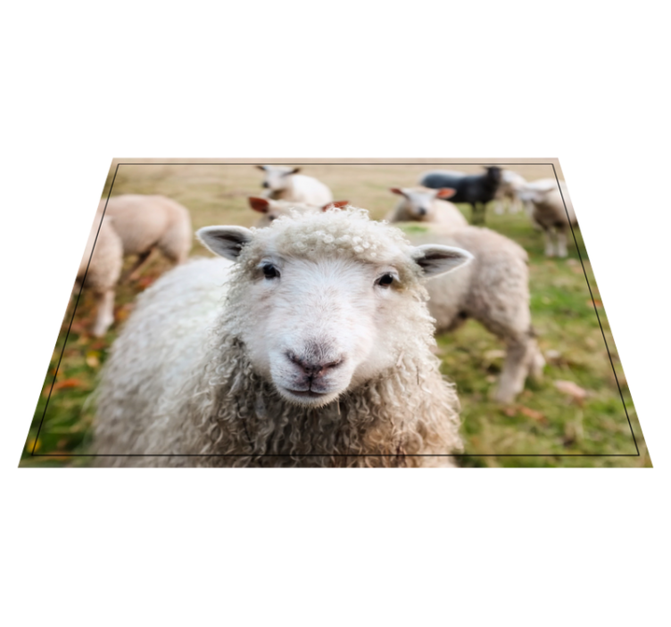 Alfombra vinílica de animales cara de oveja rizada - TenVinilo