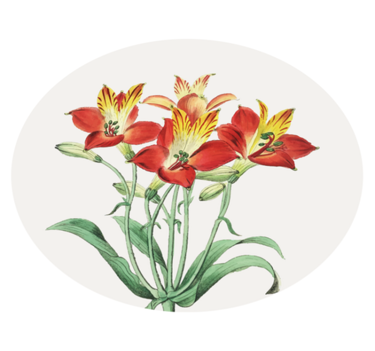 Alfombra vinílica flores rosas escarlatas vibrantes - TenVinilo