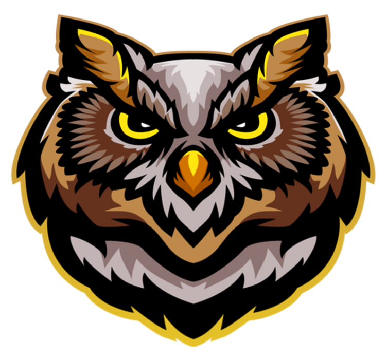 Alfombra vinílica de animales arte de cara de búho - TenVinilo