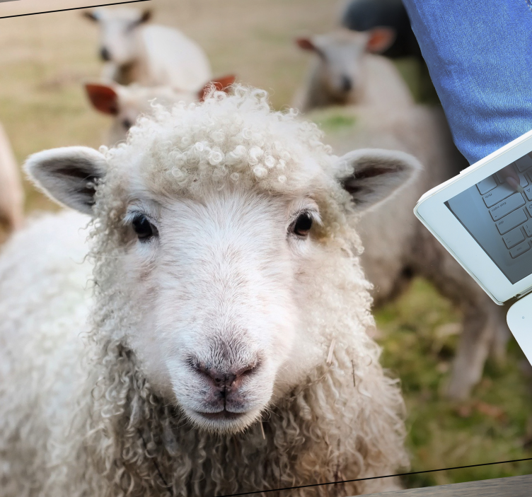 Alfombra vinílica de animales cara de oveja rizada - TenVinilo