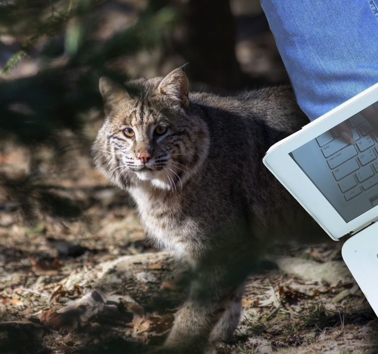 Alfombra vinílica de animales escena de gato salvaje - TenVinilo