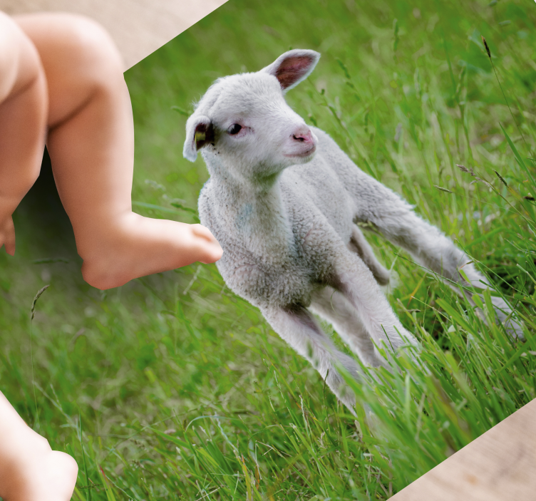 Alfombra vinílica de animales cordero lechal de pie - TenVinilo