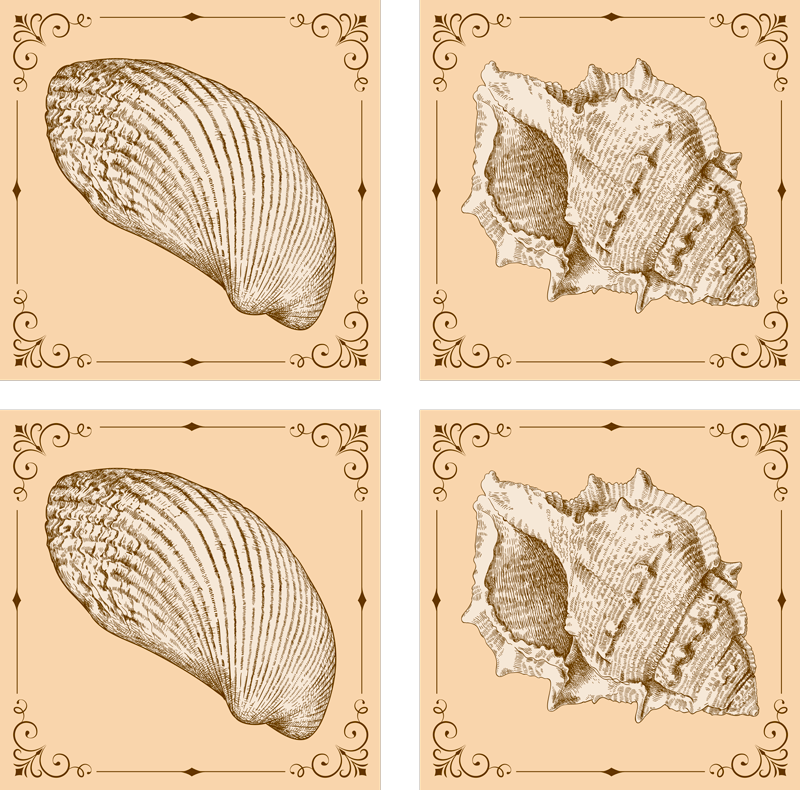 Alfombra vinílica de animales conchas vintage - TenVinilo