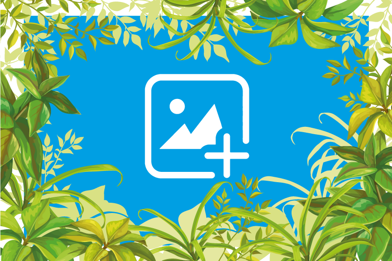 Alfombra vinílica de animales gato entre la vegetación - TenVinilo