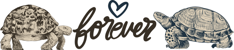 Alfombra vinílica de animales amor eterno entre tortugas - TenVinilo