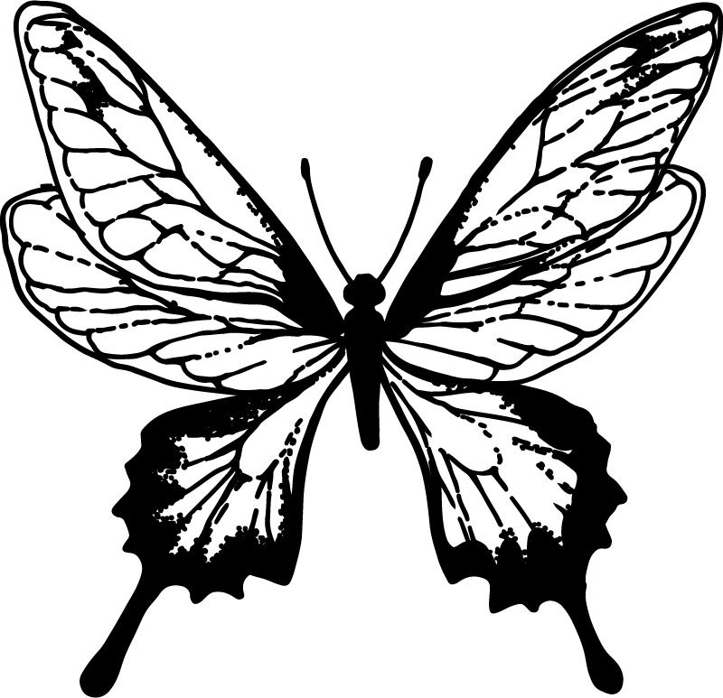 Alfombra vinílica de animales contorno de mariposa elegante - TenVinilo