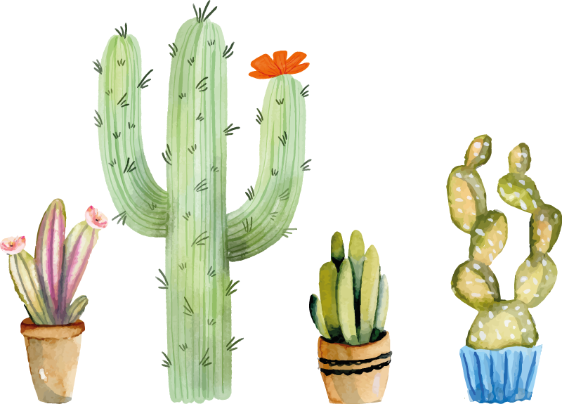 Alfombra vinílica comedor set variedad de cactus - TenVinilo