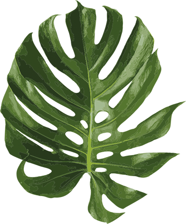 Alfombra vinílica flores hoja monstera deliciosa - TenVinilo
