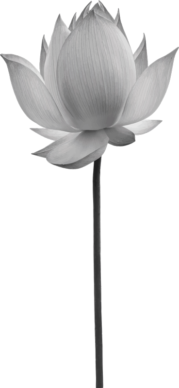 Alfombra vinílica dormitorio flor de loto solitaria - TenVinilo