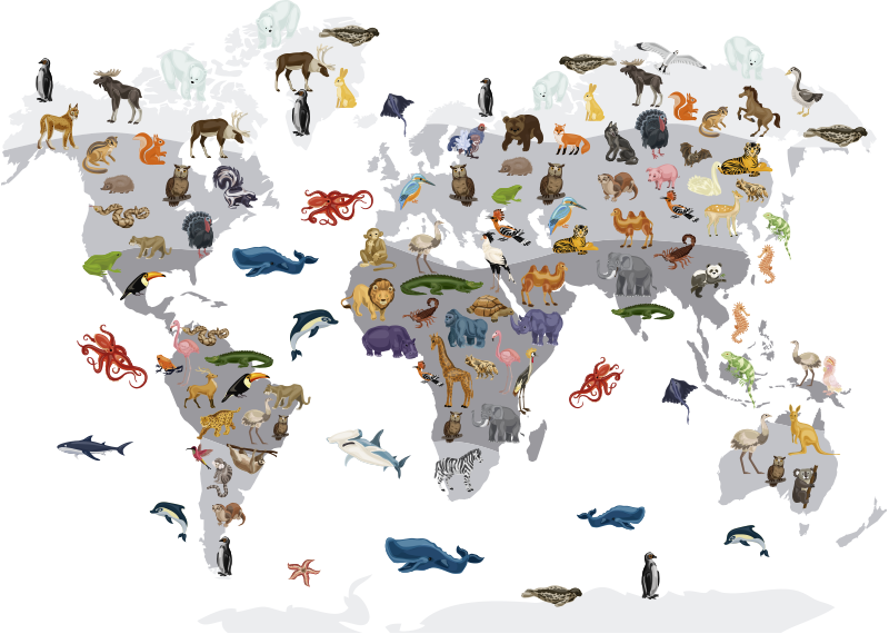 Alfombra vinílica mapamundi adhesivo mural estilo nórdico - TenVinilo