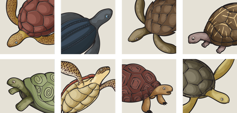 Alfombra vinílica baño azulejo de variedad de tortugas - TenVinilo