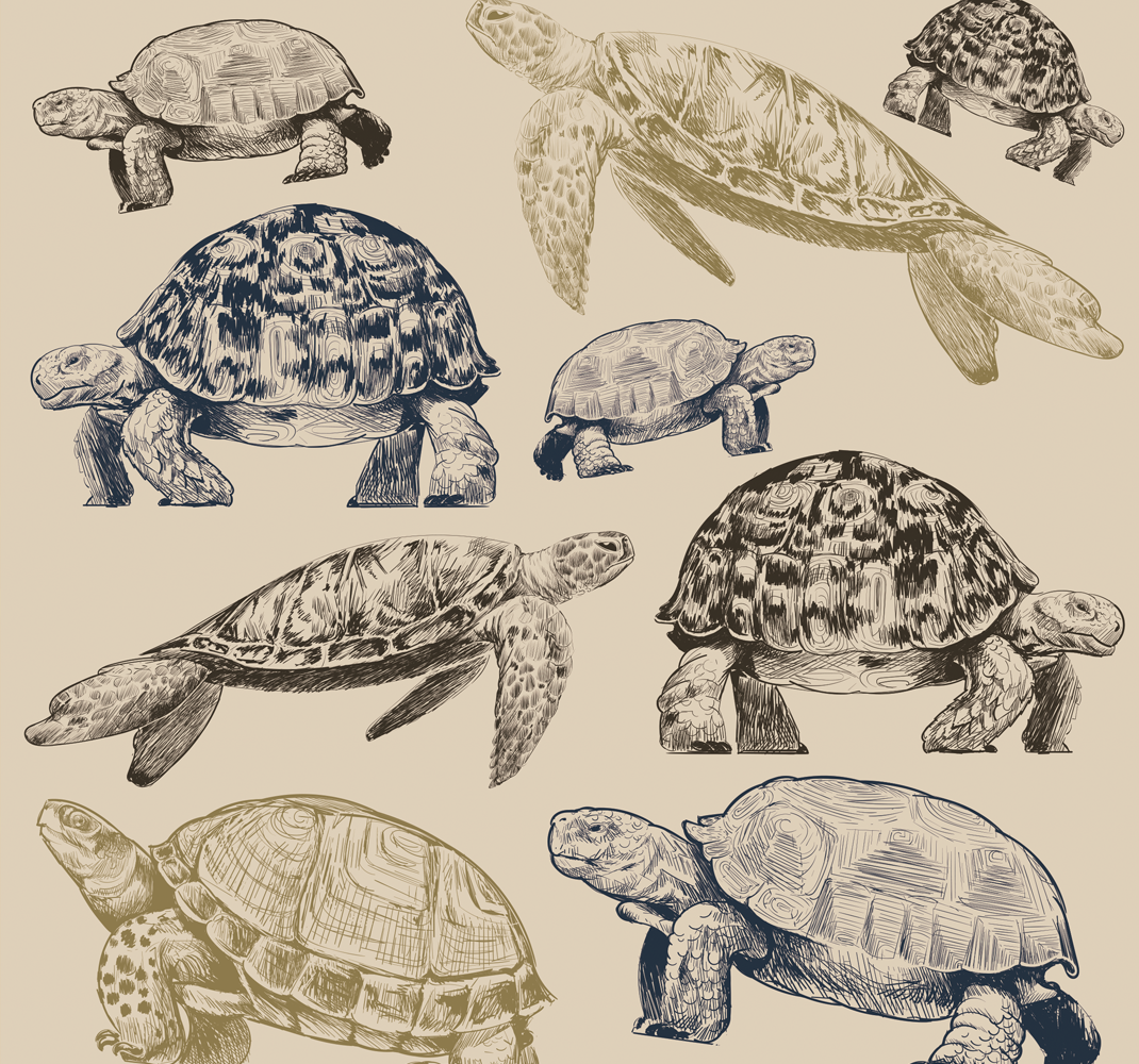 Alfombra vinílica de animales tortugas fondo beige - TenVinilo