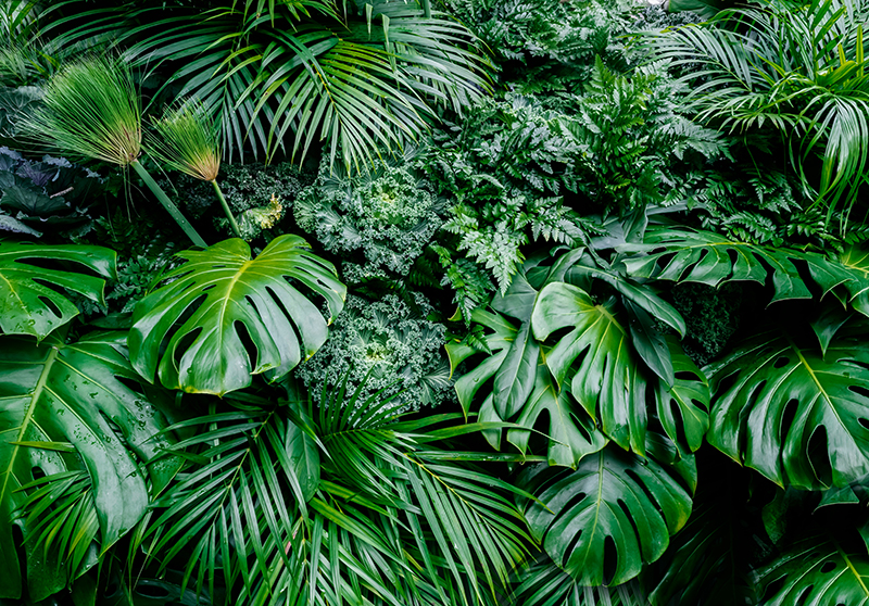 Alfombra vinílica verde selva soleada - TenVinilo
