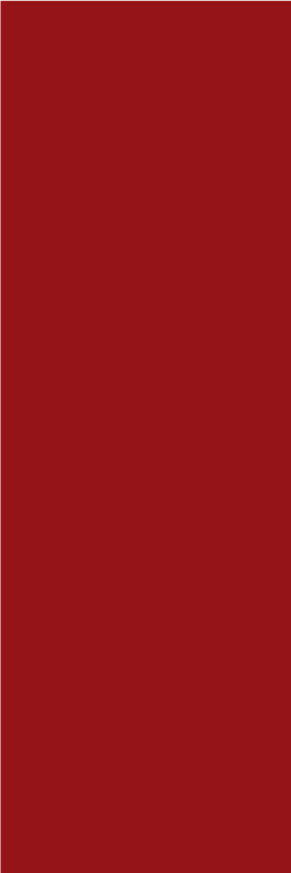 Alfombra vinílica roja y roja - TenVinilo
