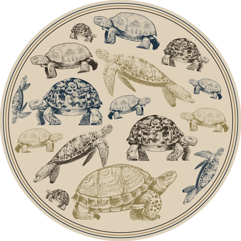 Alfombra vinílica de animales ilustraciones de tortugas - TenVinilo