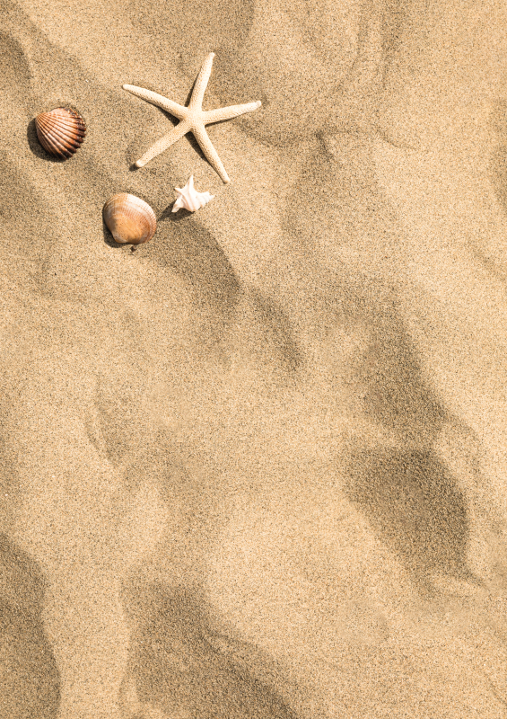 Alfombra vinílica exterior elegancia frente a la playa - TenVinilo