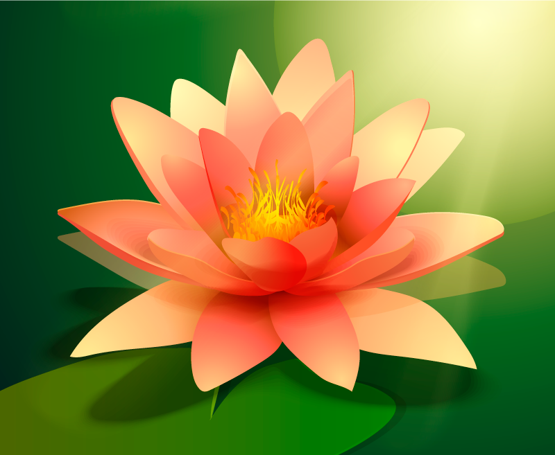 Alfombra vinílica flor loto con sombra - TenVinilo