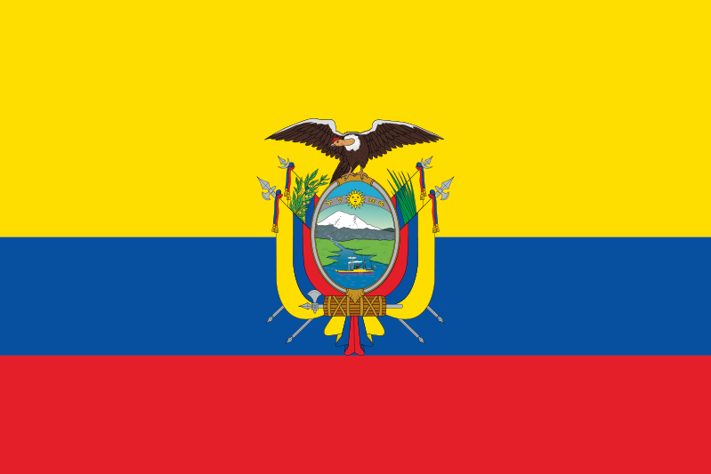 Alfombra vinílica rayas bandera Ecuador - TenVinilo
