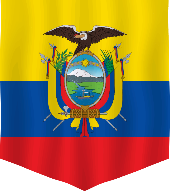 Alfombra vinílica rayas escudo Ecuador - TenVinilo