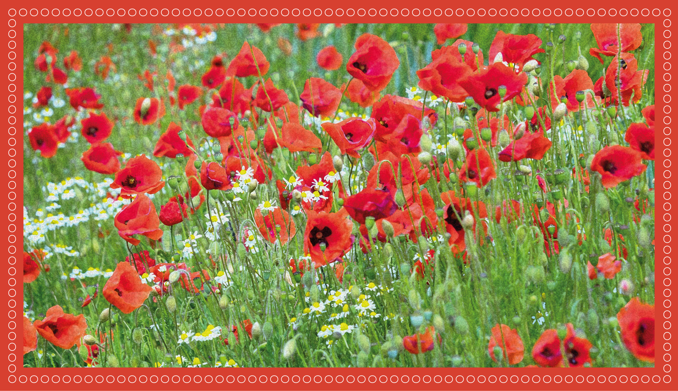 Alfombra vinílica flores campo de amapolas realista - TenVinilo