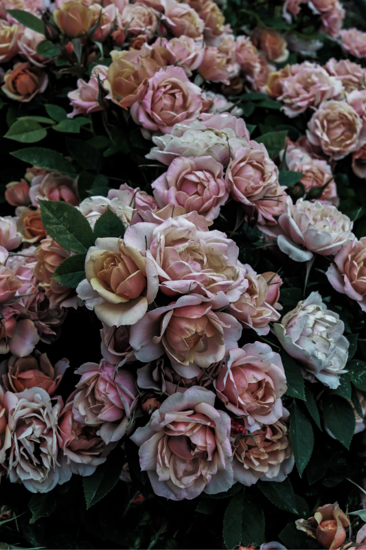 Alfombra vinílica flores elegante arreglo floral - TenVinilo