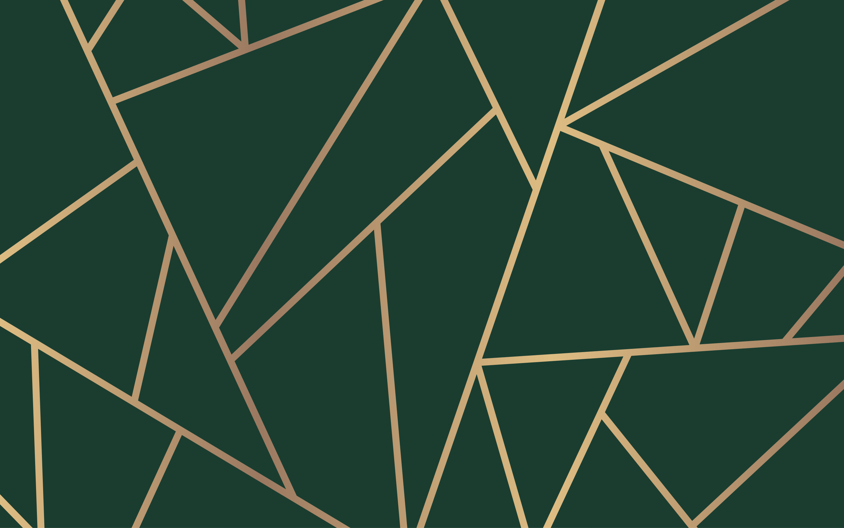 Alfombra exterior vinilo Fondo verde botella lineas doradas - TenVinilo