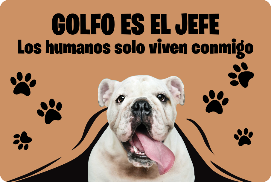 Alfombra vinilo recibidor foto personalizada de mascotasFoto pers - TenVinilo