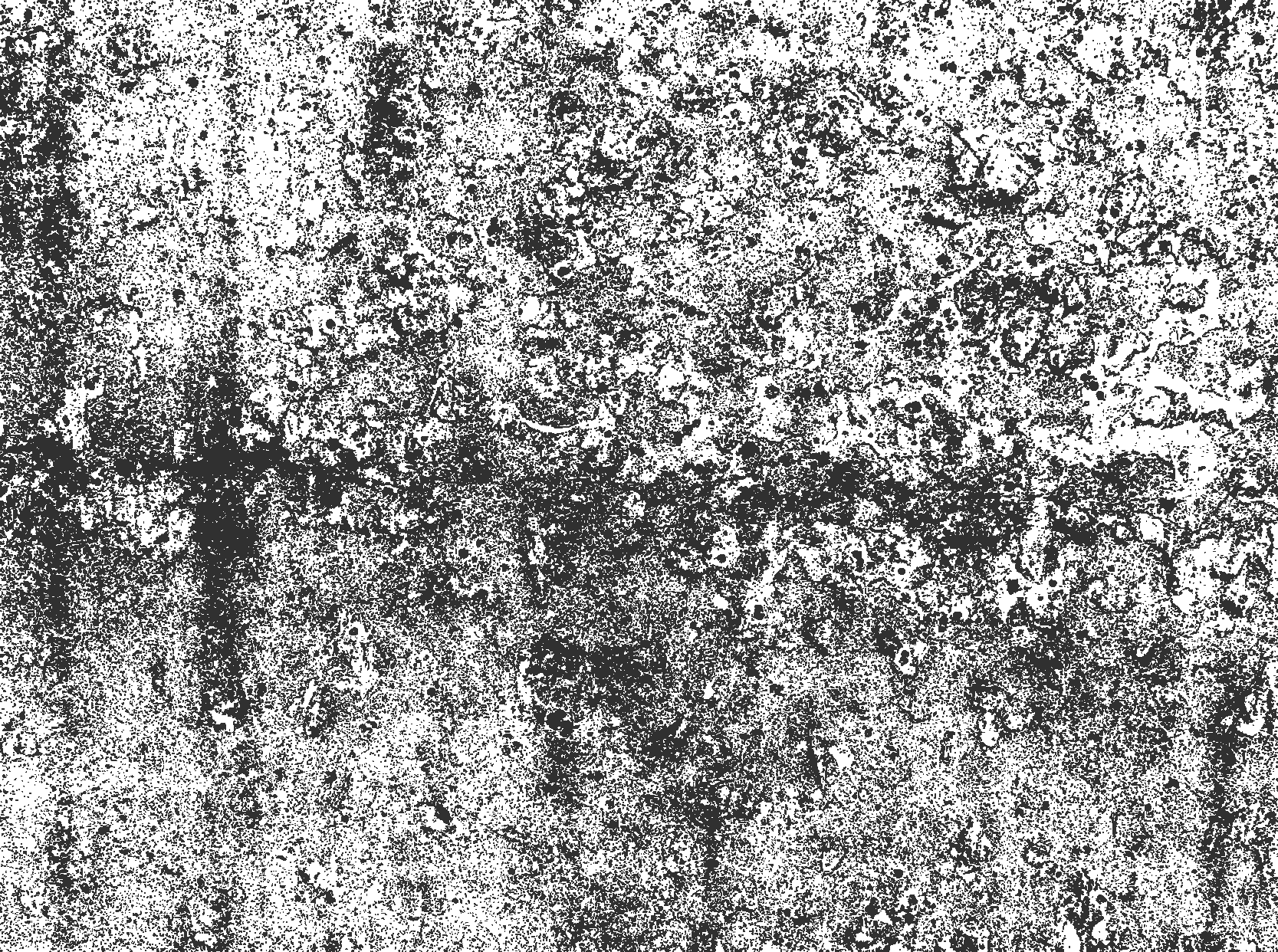 Alfombra vinílica comedor gris descolorido - TenVinilo