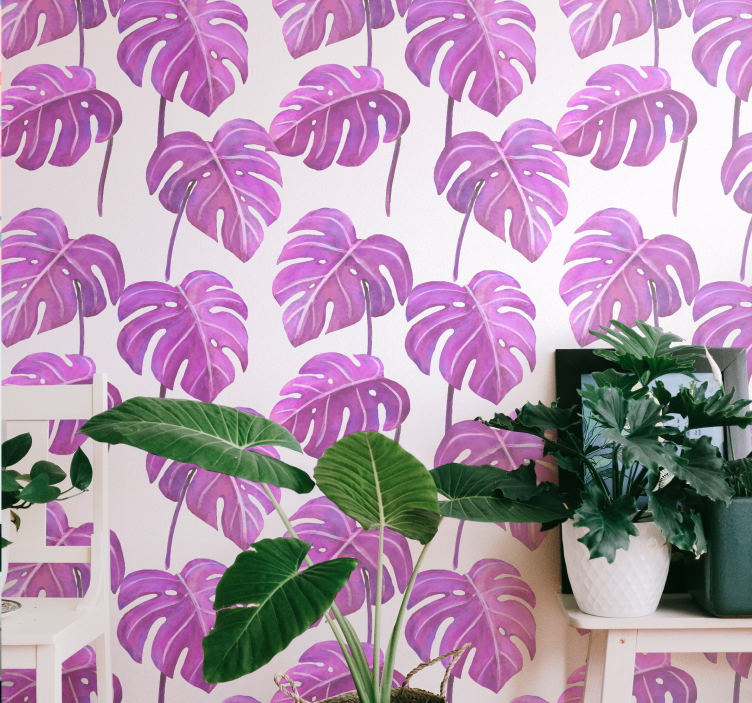Papel tapiz hojas monstera deliciosa - TenVinilo